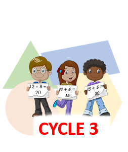 Cycle 3